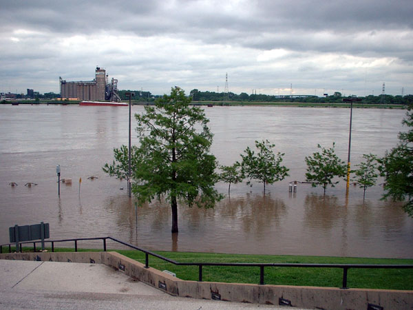 The Flooded Missouri River.jpg 81.4K